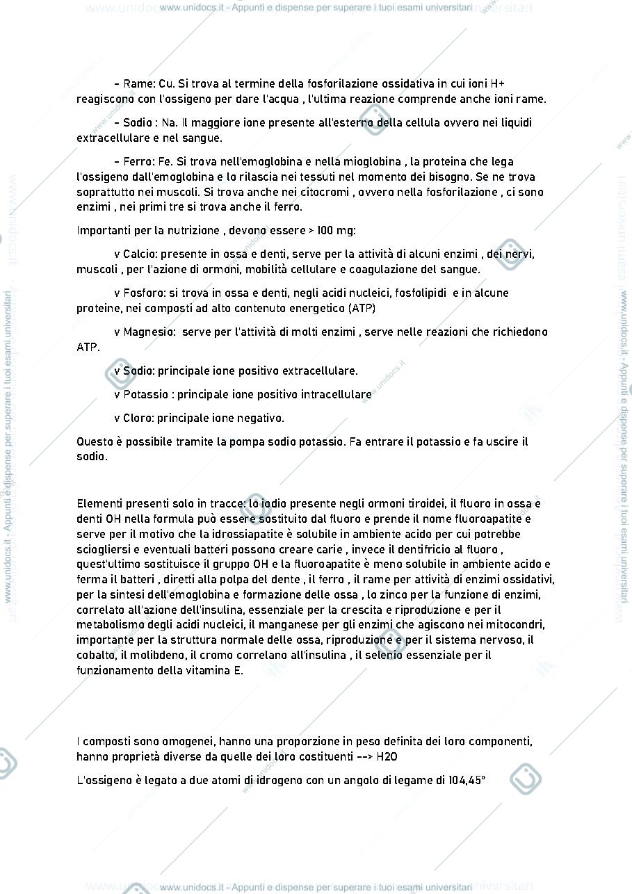 Anteprima pagina 3 — biochimica