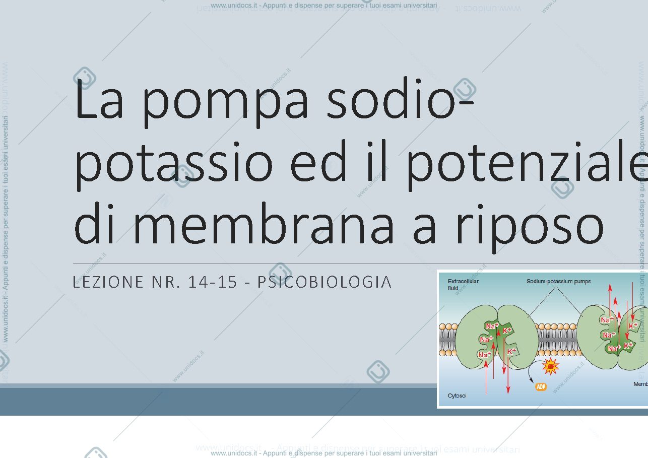 Anteprima pagina 1 — La pompa sodio potassio