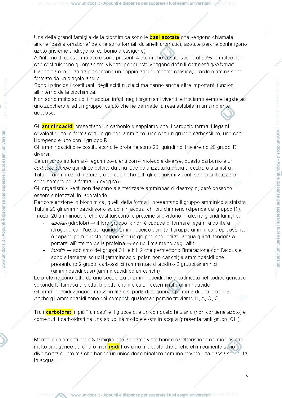 Anteprima pagina 2 — Biochimica