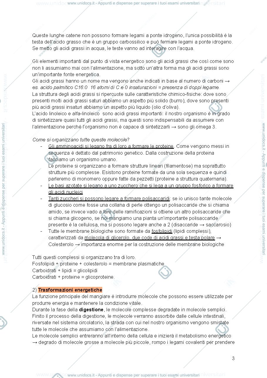 Anteprima pagina 3 — Biochimica