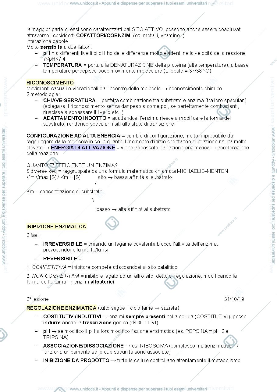 Anteprima pagina 2 — Biochimica