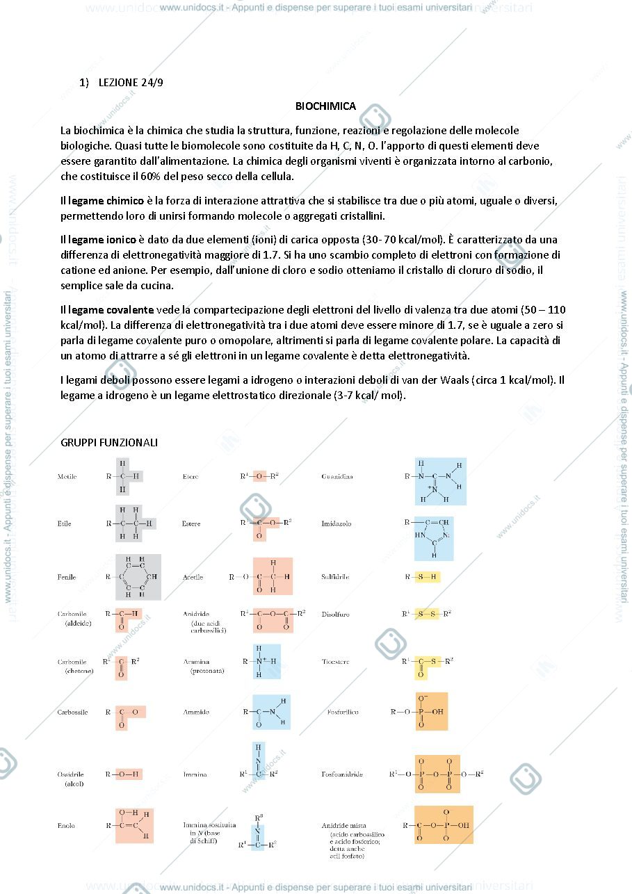 Anteprima pagina 1 — appunti biochimica