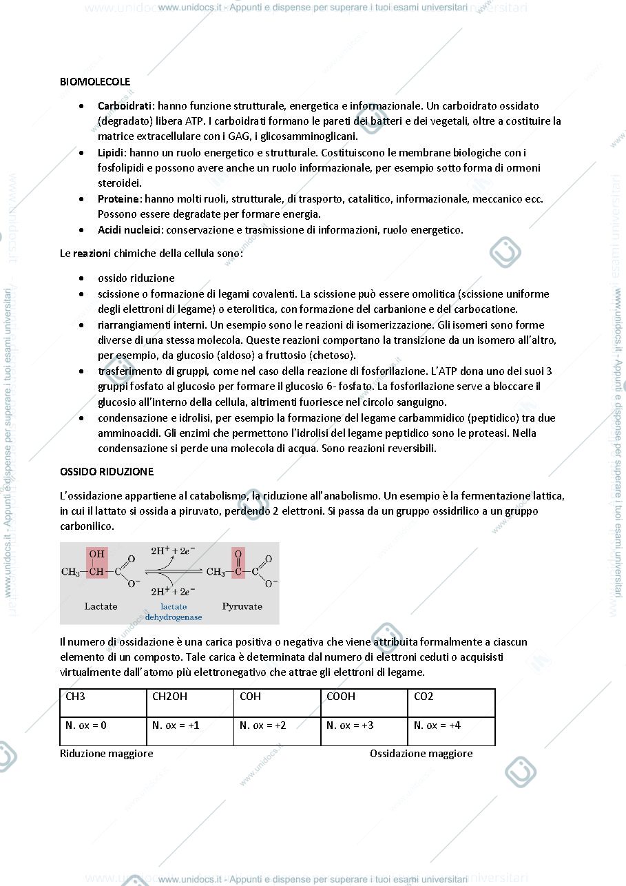 Anteprima pagina 2 — appunti biochimica