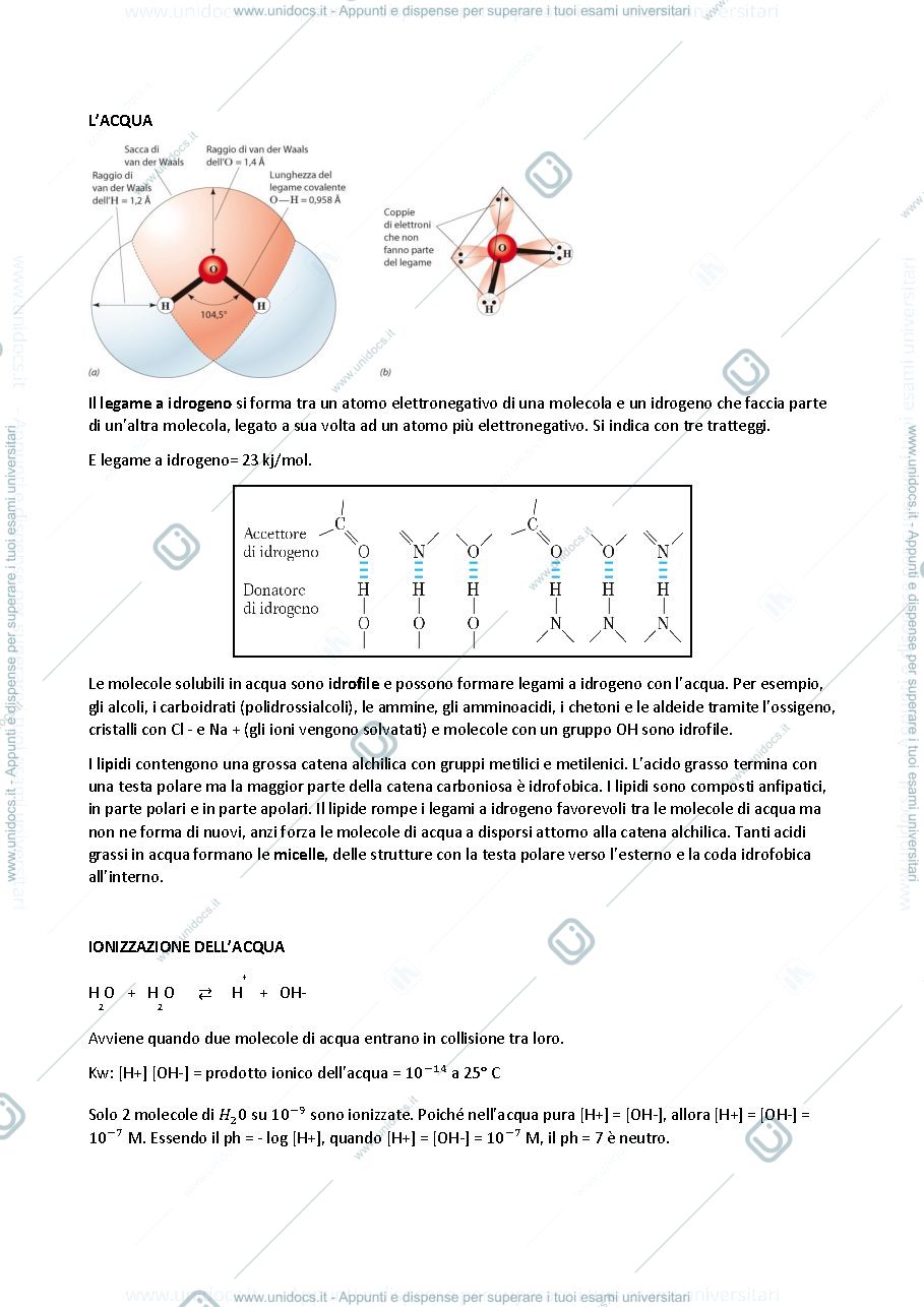 Anteprima pagina 3 — appunti biochimica