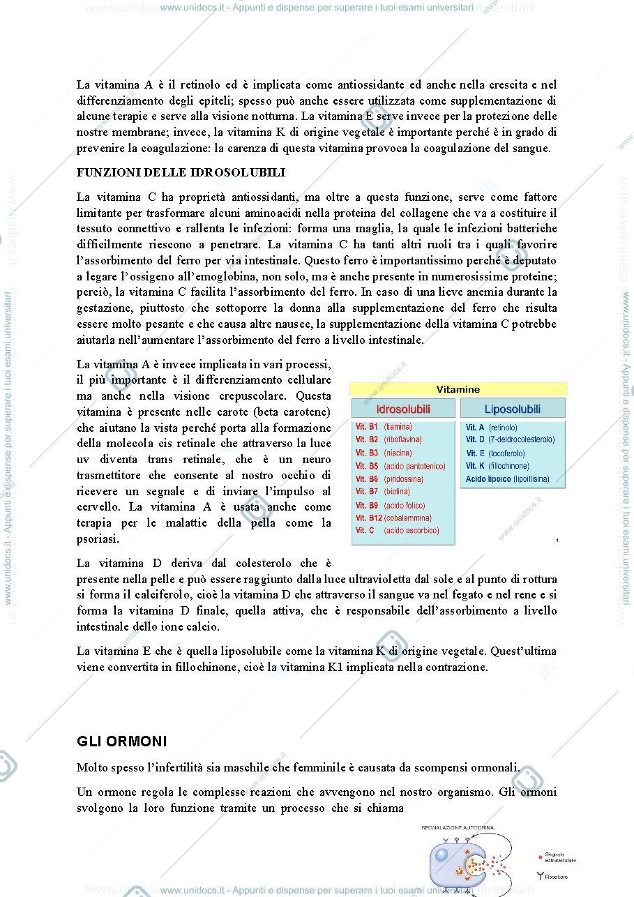 Anteprima pagina 2 — Vitamine e ormoni 