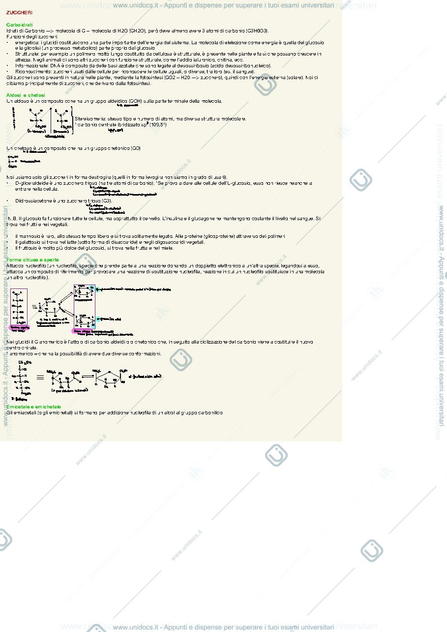Anteprima pagina 2 — Appunti biochimica del prof. Negro