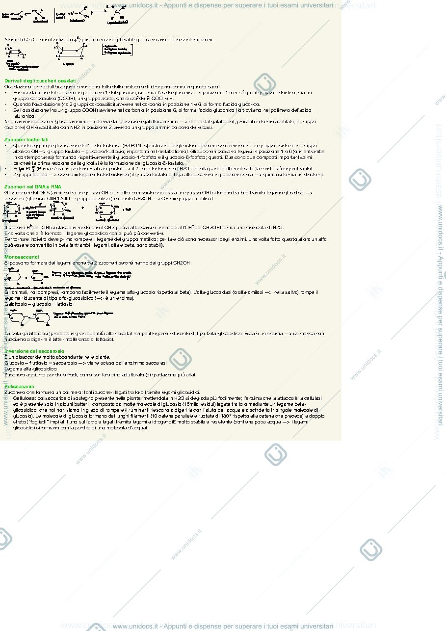 Anteprima pagina 3 — Appunti biochimica del prof. Negro