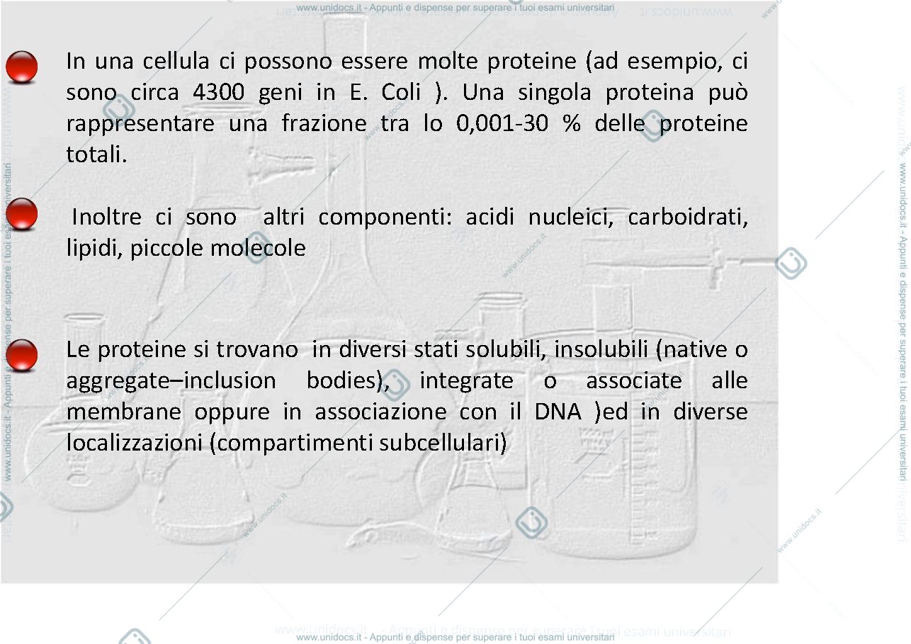 Anteprima pagina 2 — studio delle proteine
