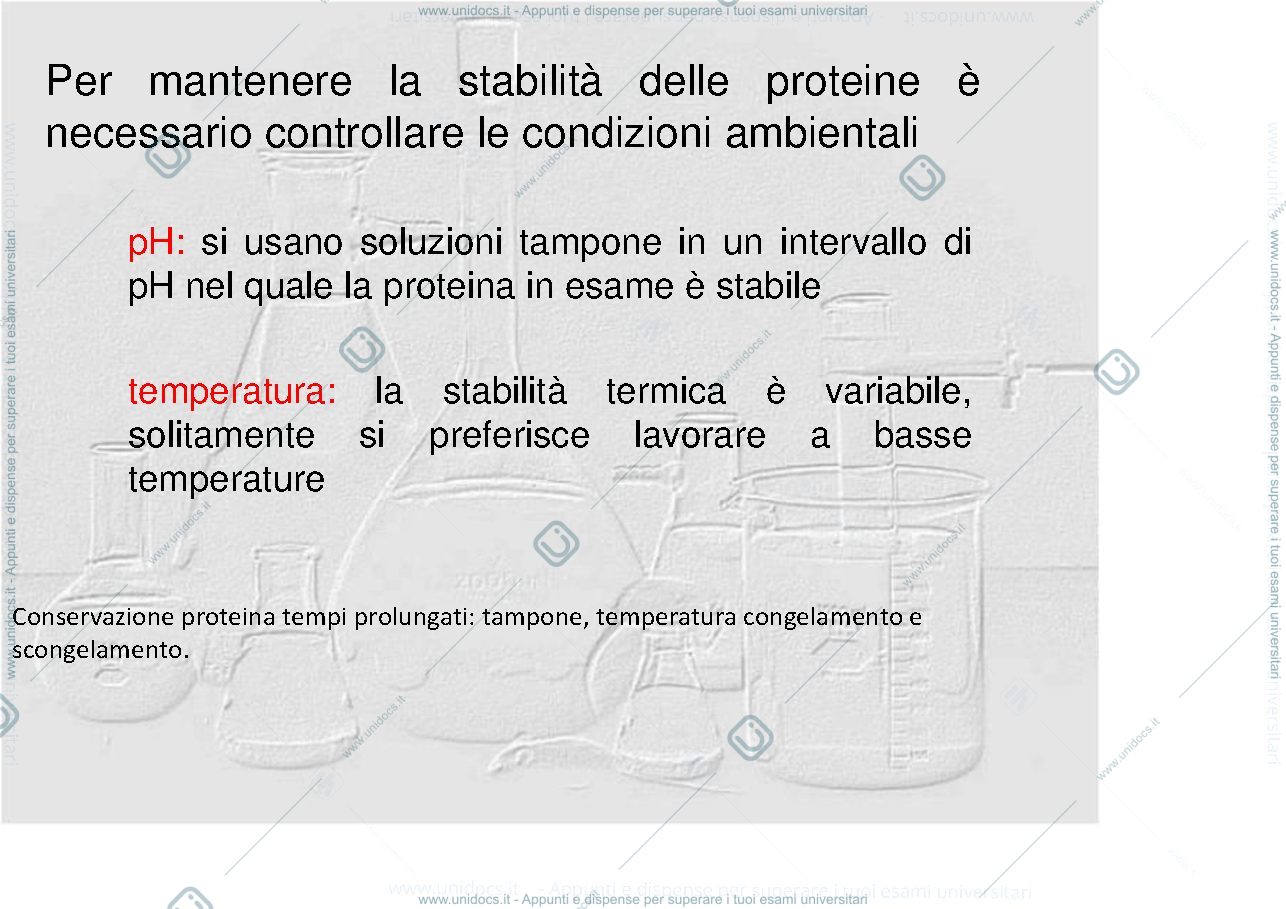 Anteprima pagina 4 — studio delle proteine