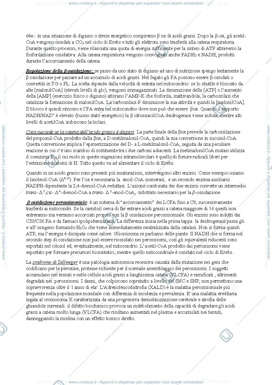 Anteprima pagina 2 — Appunti di biochimica
