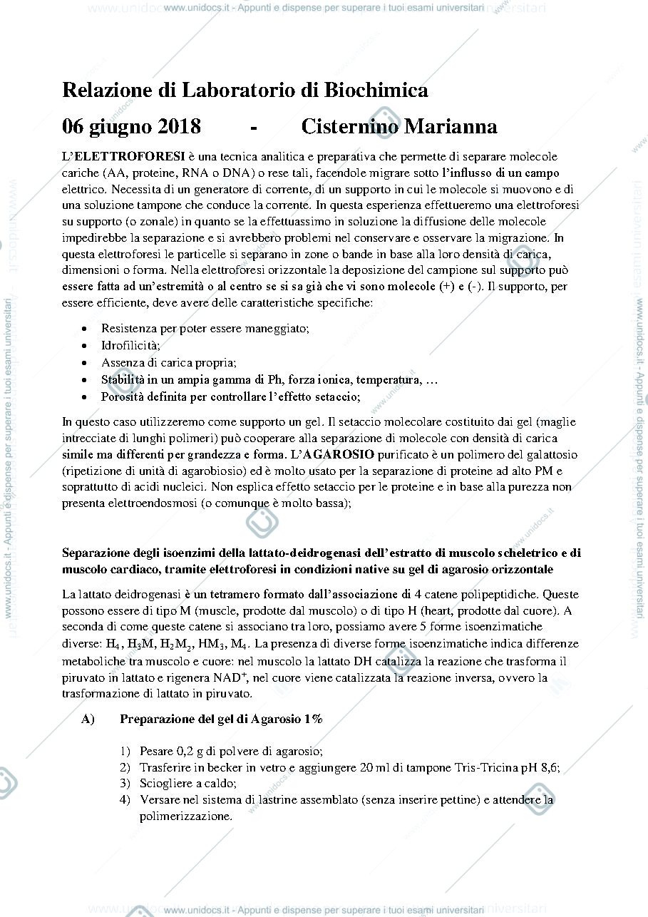 Anteprima pagina 1 — relazioni biochimica