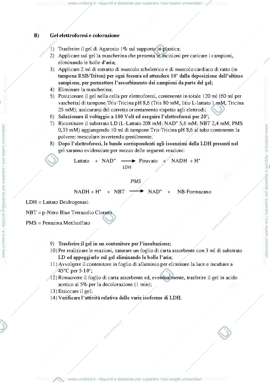 Anteprima pagina 2 — relazioni biochimica