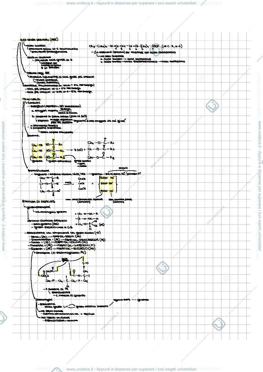 Anteprima pagina 1 — BIOCHIMICA