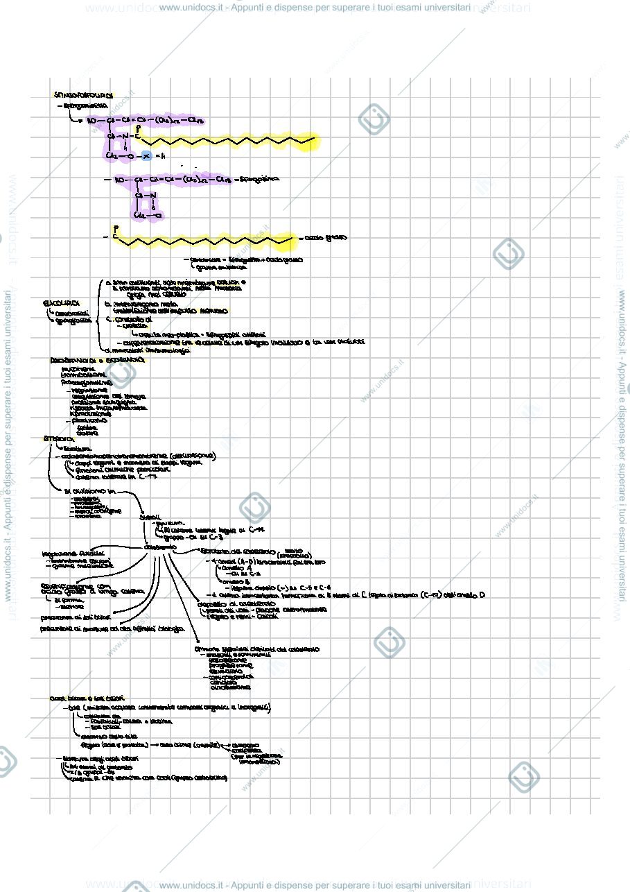 Anteprima pagina 2 — BIOCHIMICA