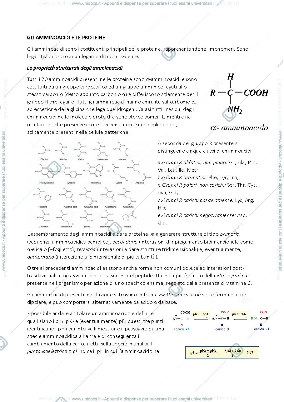 Anteprima pagina 2 — BIOCHIMICA