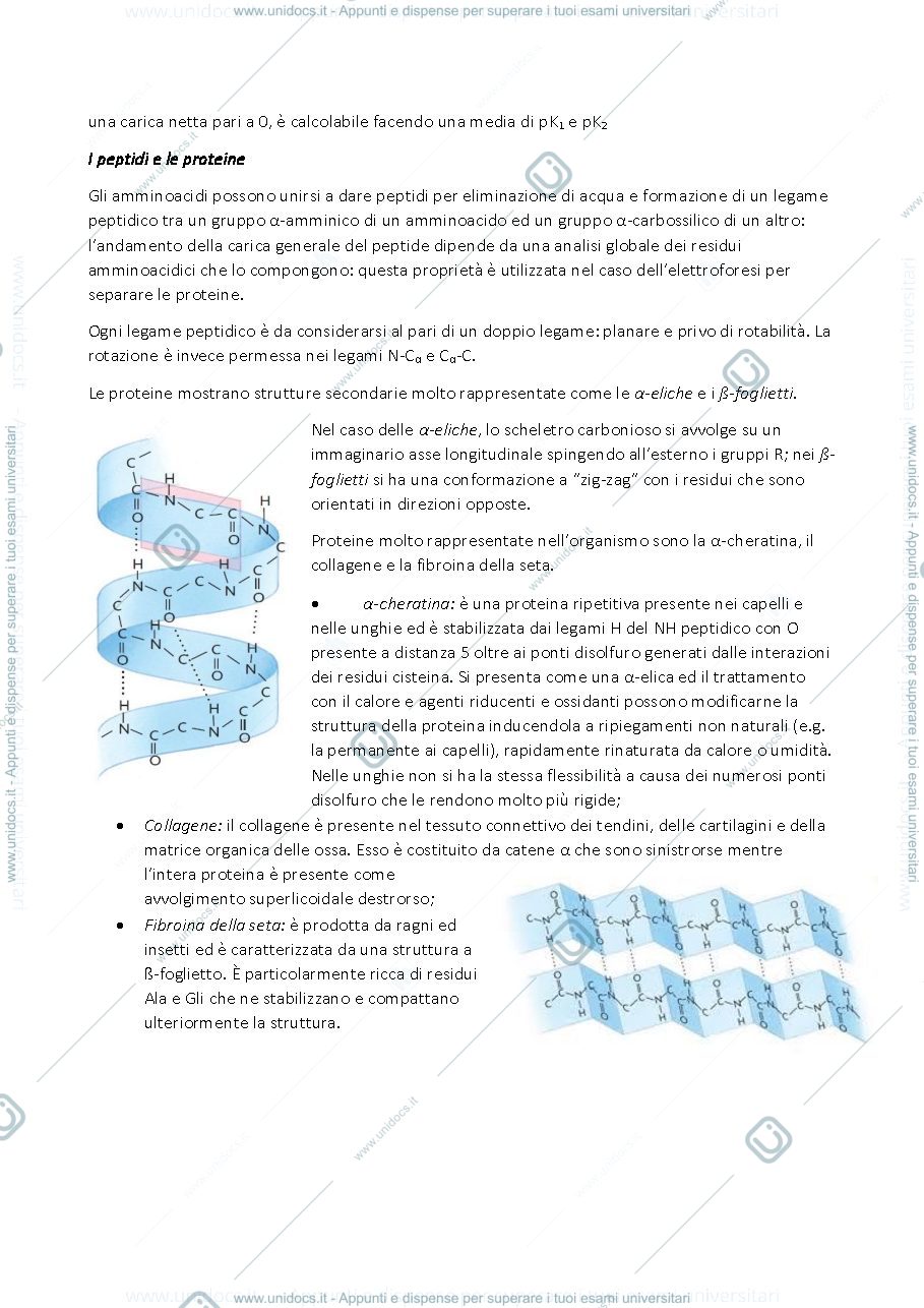 Anteprima pagina 3 — BIOCHIMICA