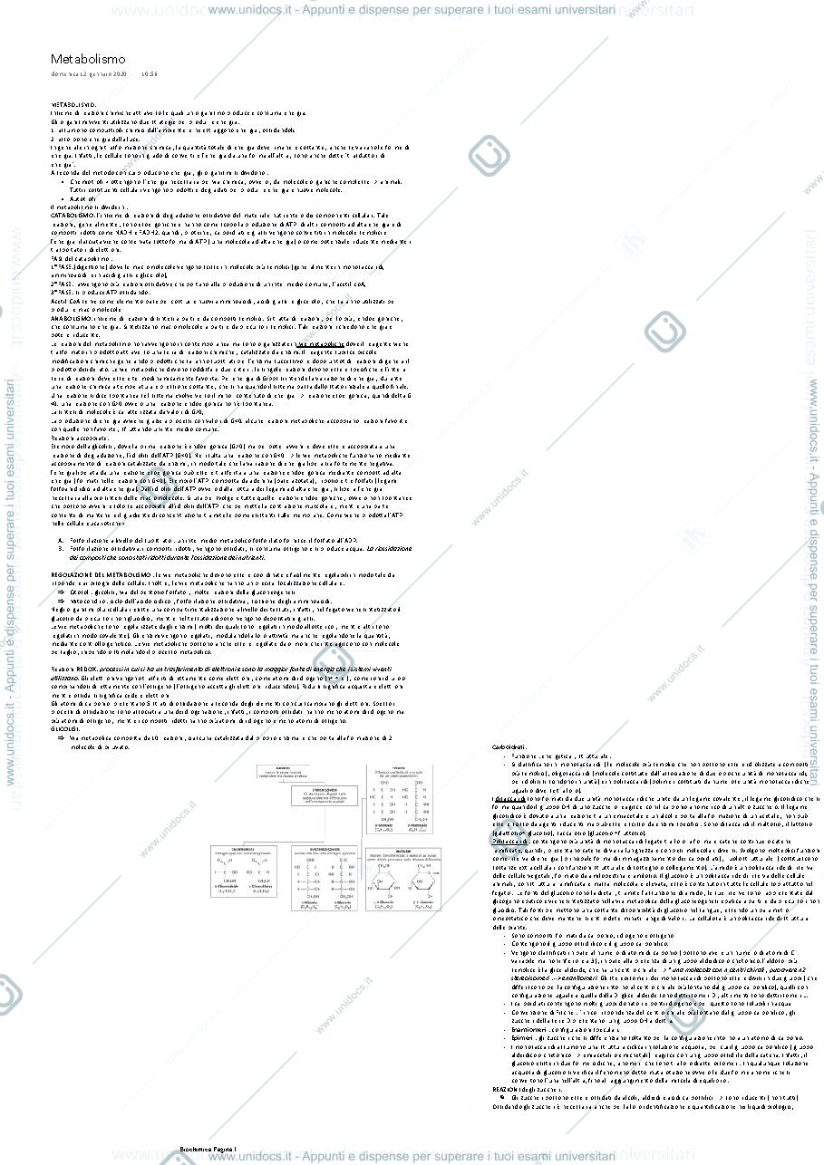 Anteprima pagina 1 — Metabolismo e carboidrati