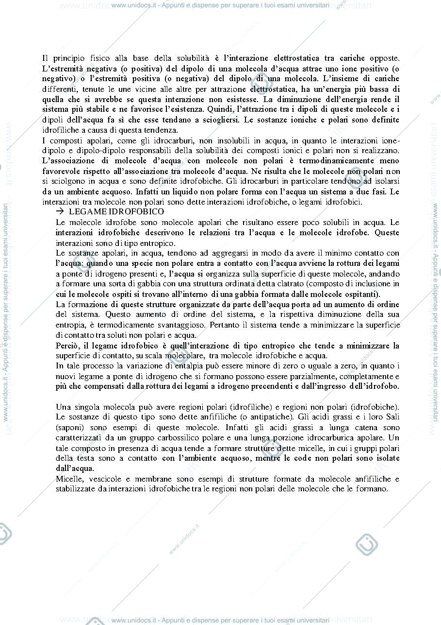 Anteprima pagina 3 — Biochima parte 1 