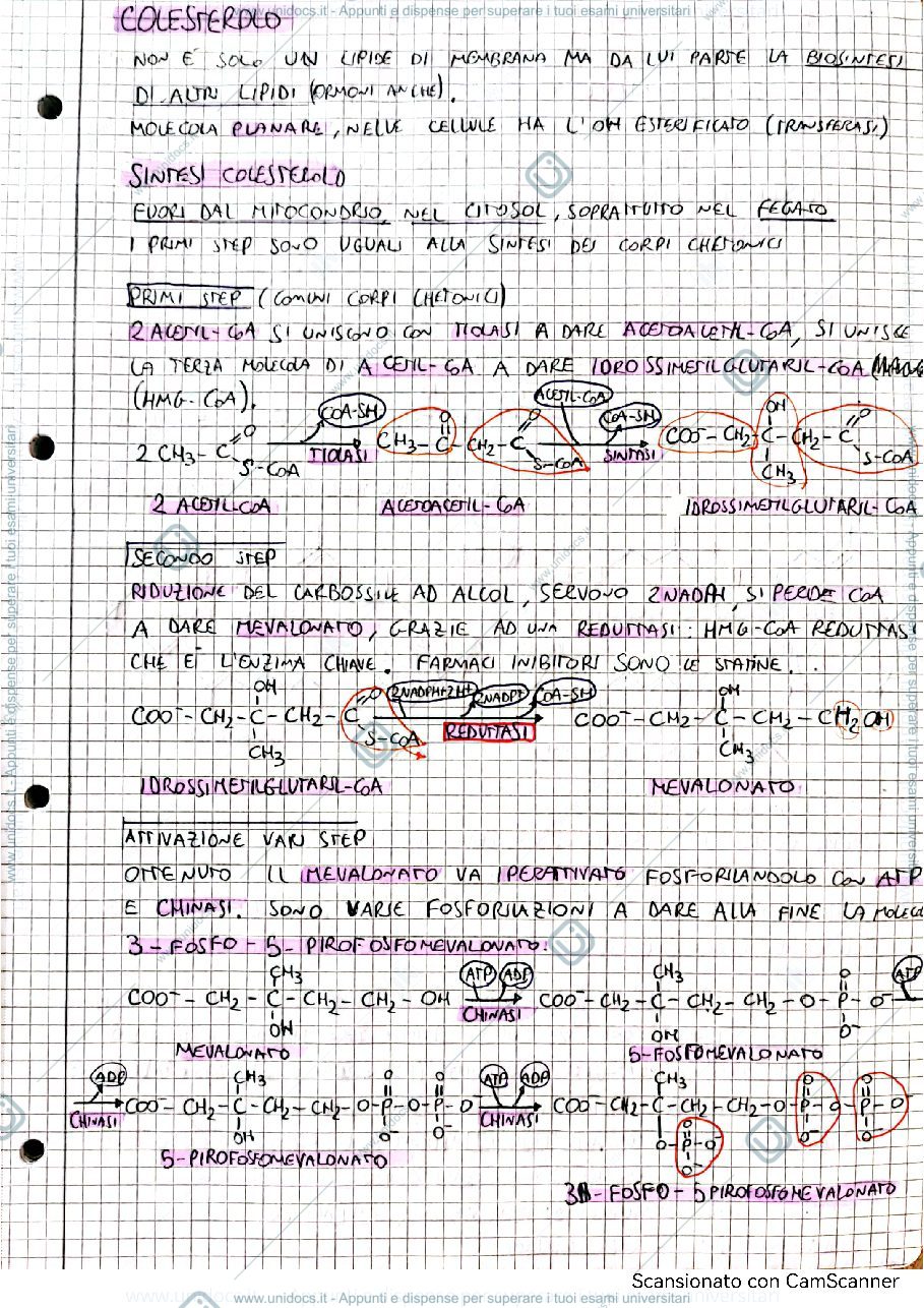 Anteprima pagina 1 — Biochimica