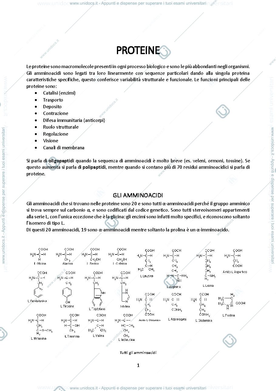 Anteprima pagina 5 — BIOCHIMICA GENERALE
