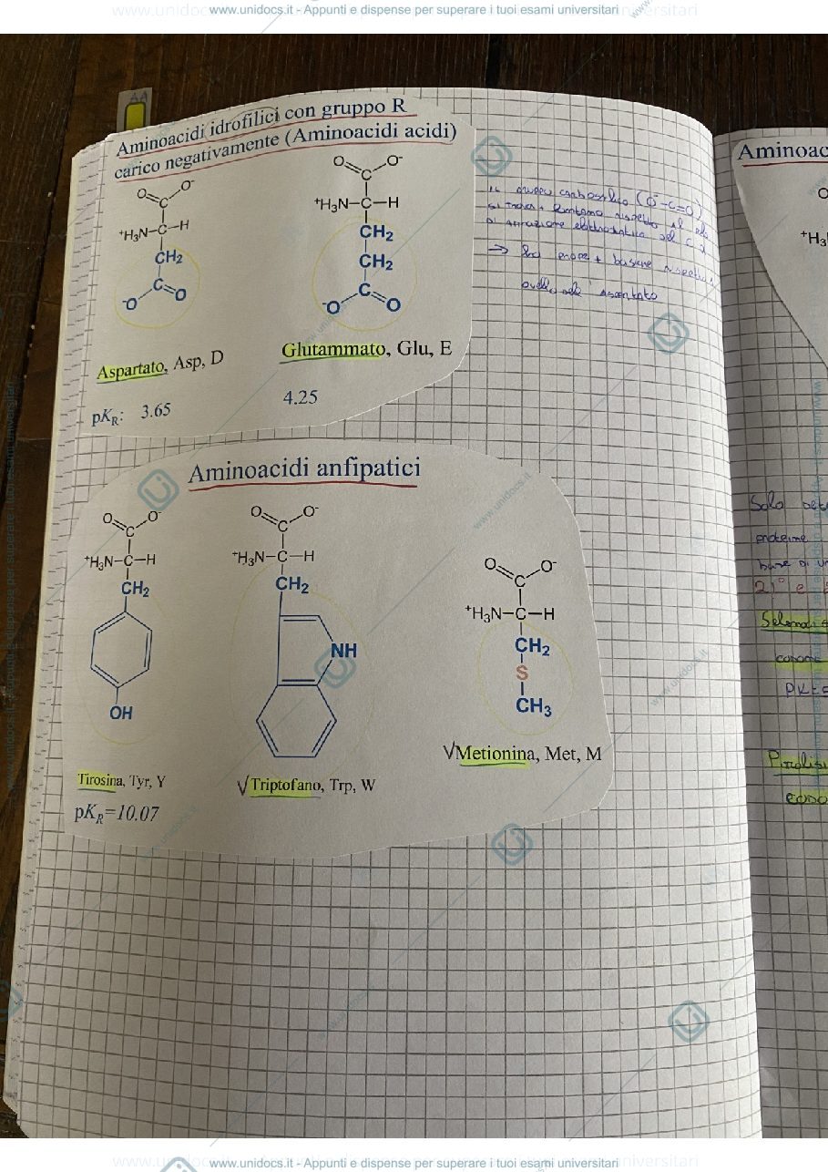 Anteprima pagina 1 — Appunti Biochimica 