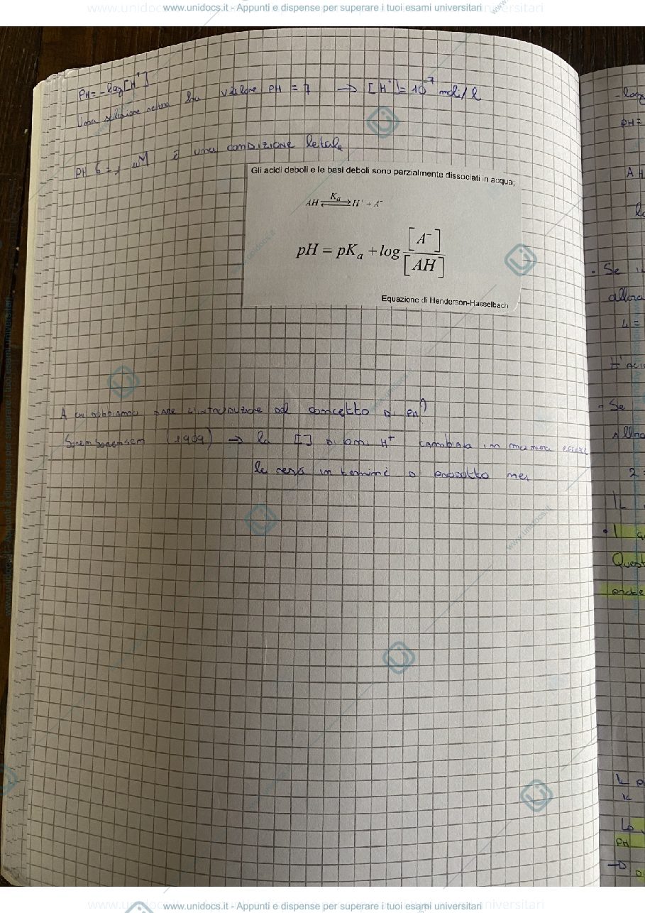 Anteprima pagina 3 — Appunti Biochimica 