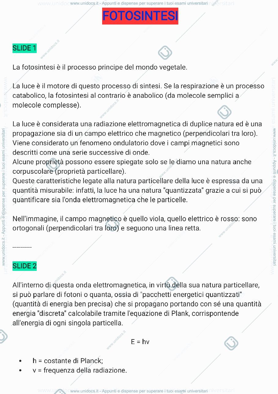 Anteprima pagina 1 — Biochimica (3a parte)