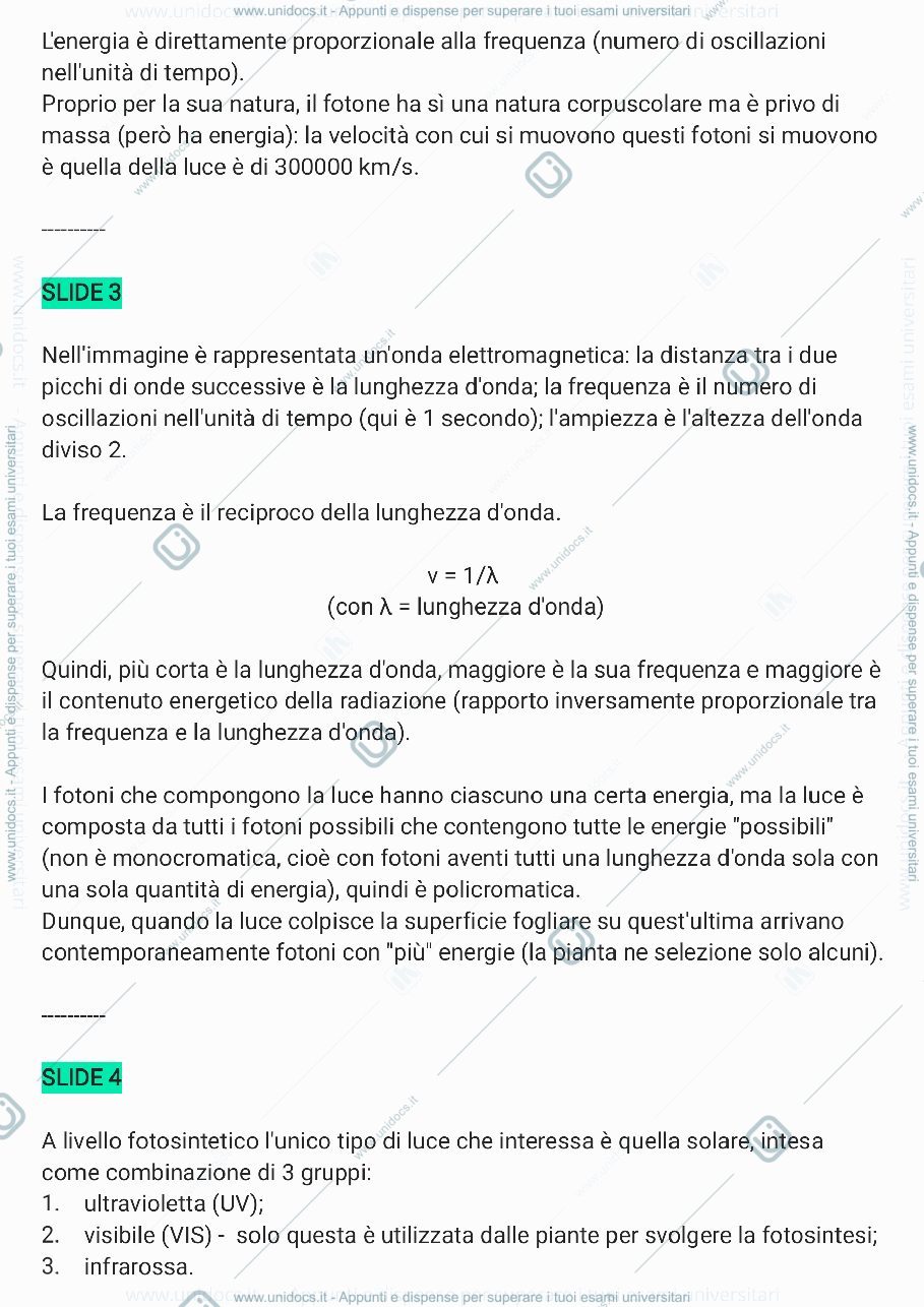Anteprima pagina 2 — Biochimica (3a parte)
