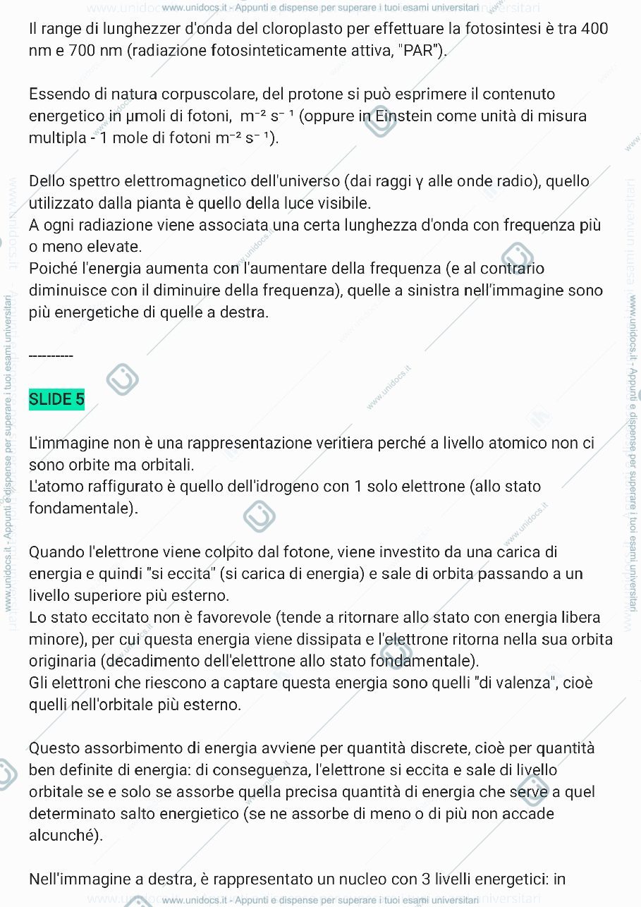 Anteprima pagina 3 — Biochimica (3a parte)