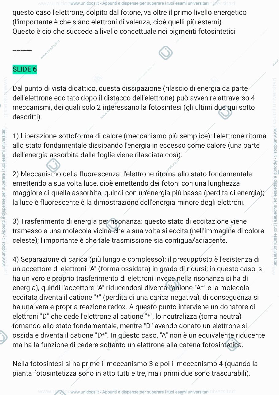 Anteprima pagina 4 — Biochimica (3a parte)