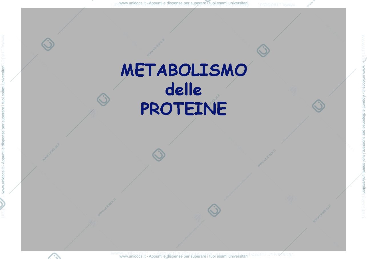 Anteprima pagina 1 — catabolismo delle proteine