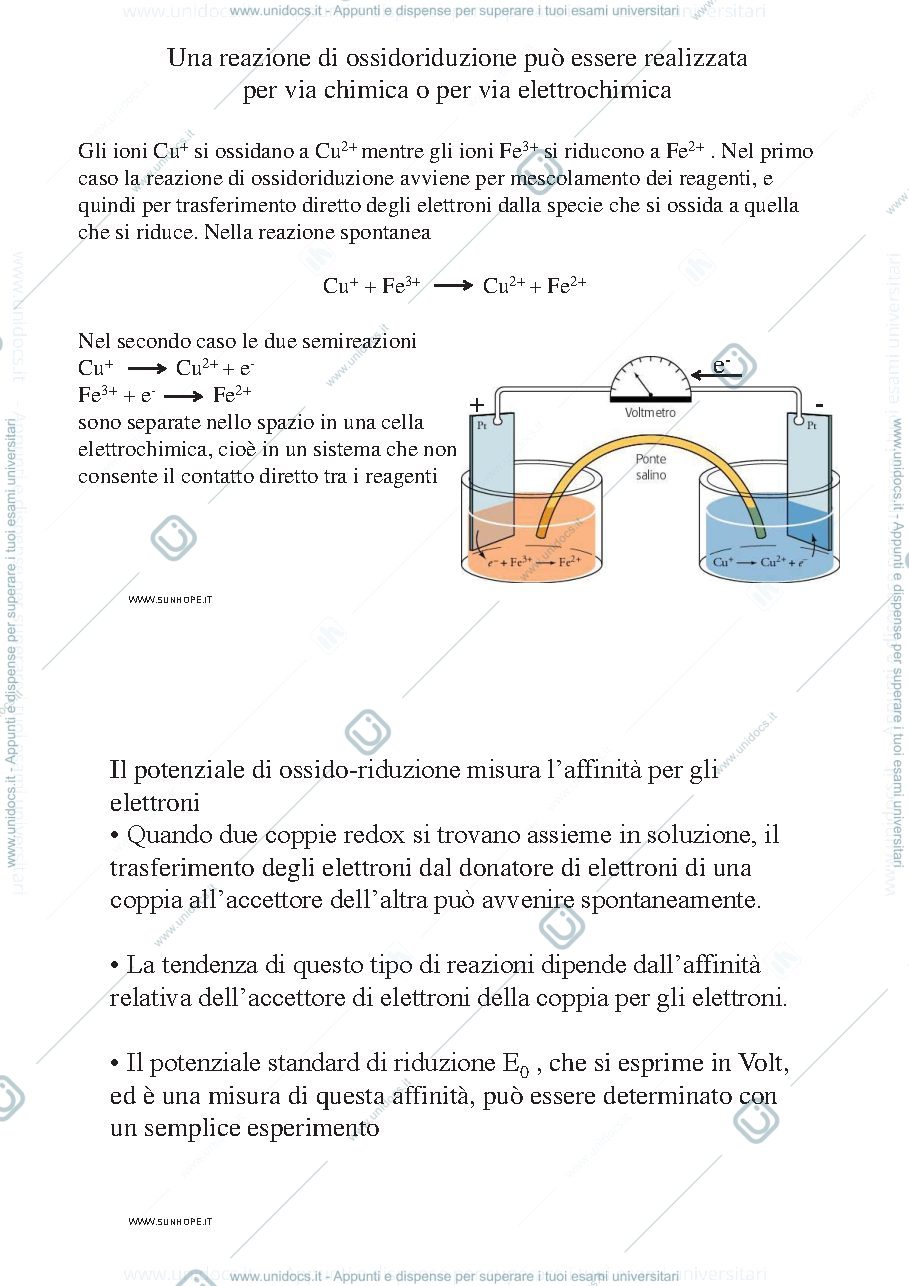 Anteprima pagina 1 — Catena respiratoria