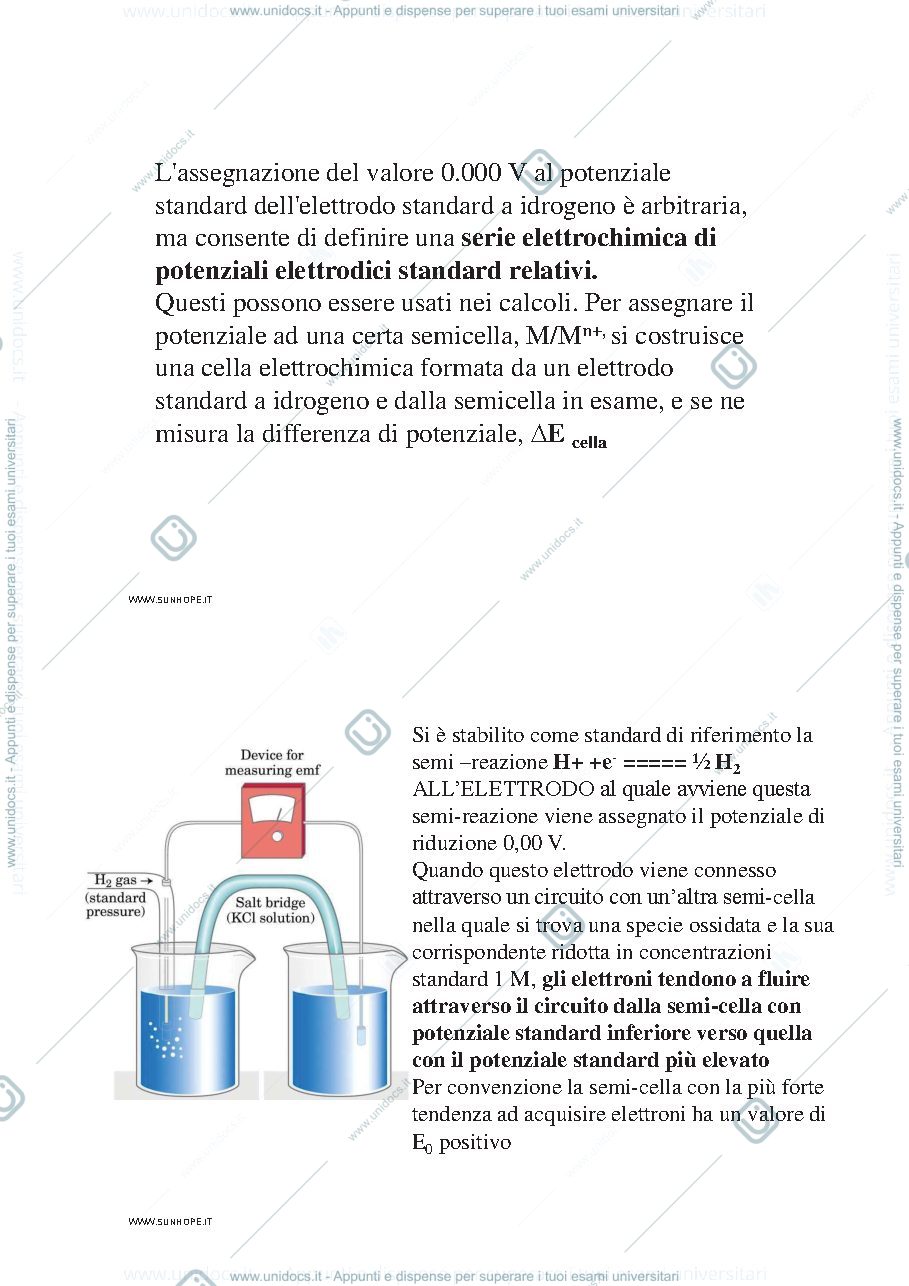 Anteprima pagina 2 — Catena respiratoria