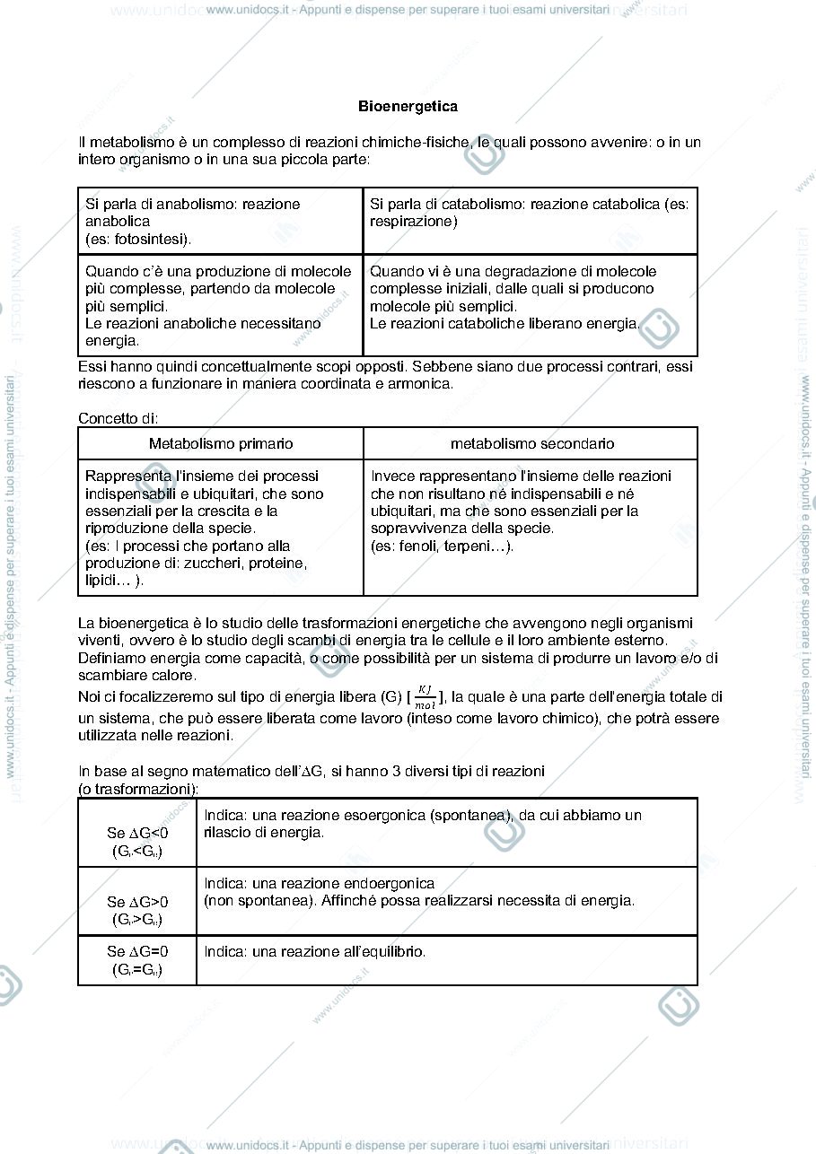 Anteprima pagina 1 — bioenergetica