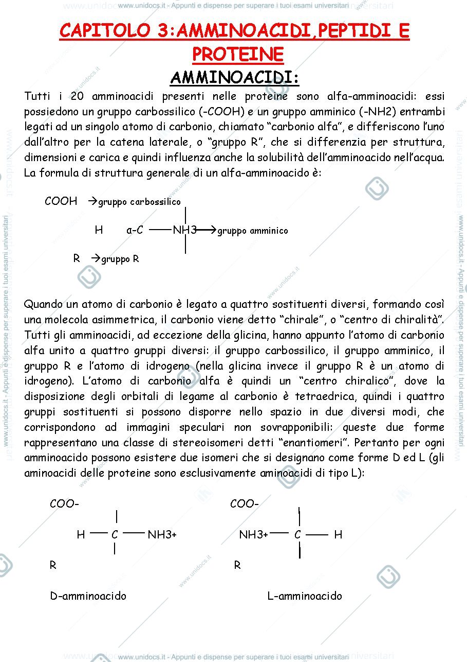 Anteprima pagina 1 — Appunti di biochimica 