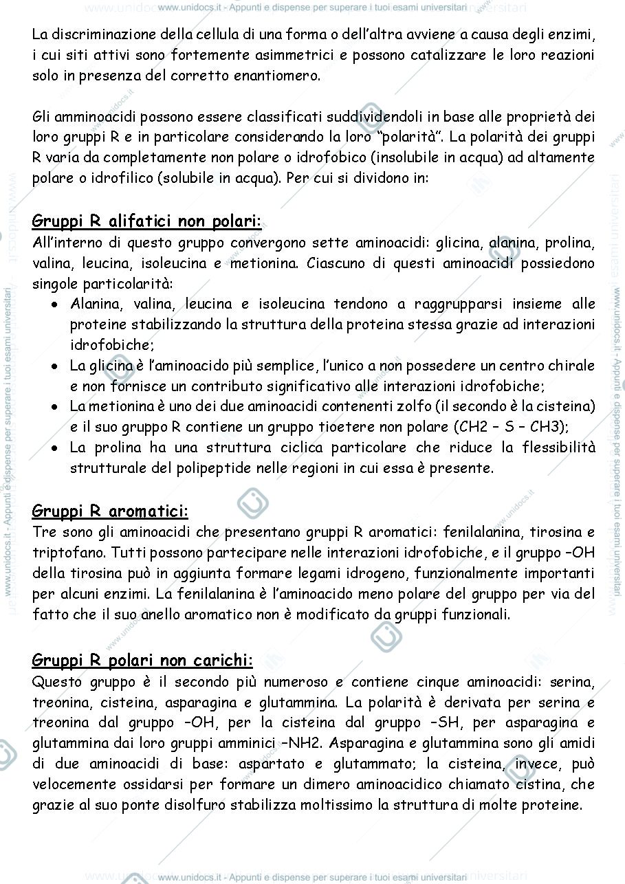 Anteprima pagina 2 — Appunti di biochimica 