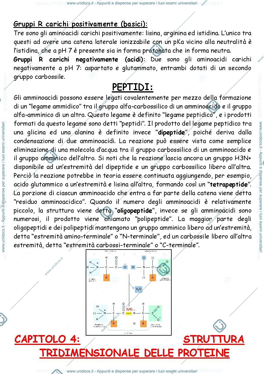 Anteprima pagina 3 — Appunti di biochimica 