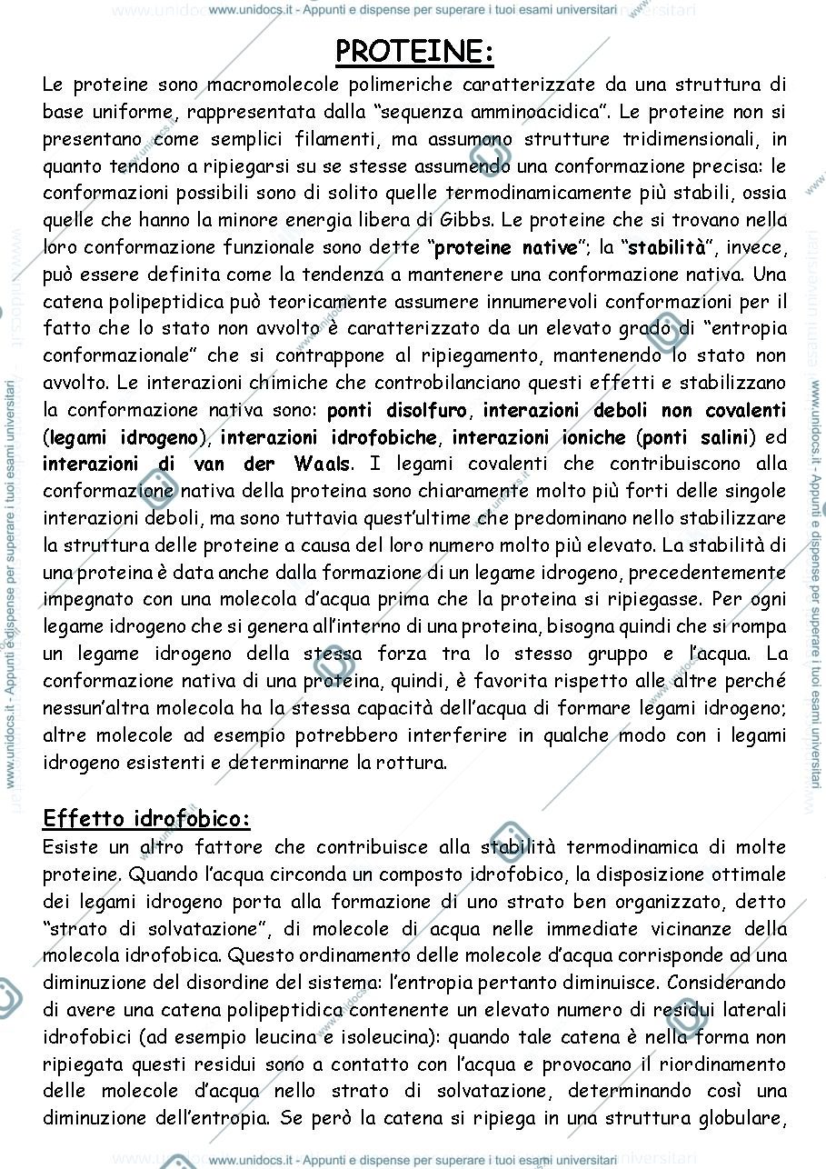 Anteprima pagina 4 — Appunti di biochimica 