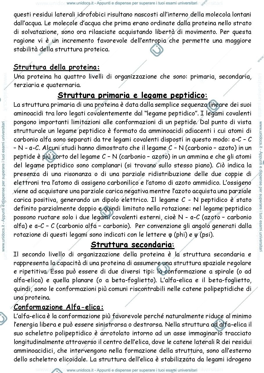 Anteprima pagina 5 — Appunti di biochimica 