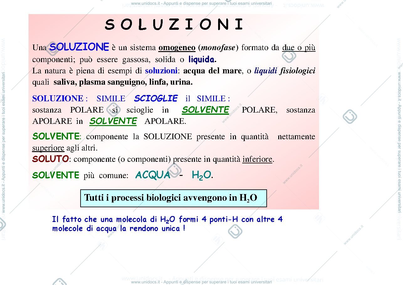 Anteprima pagina 1 — soluzione , equilibrio chimico