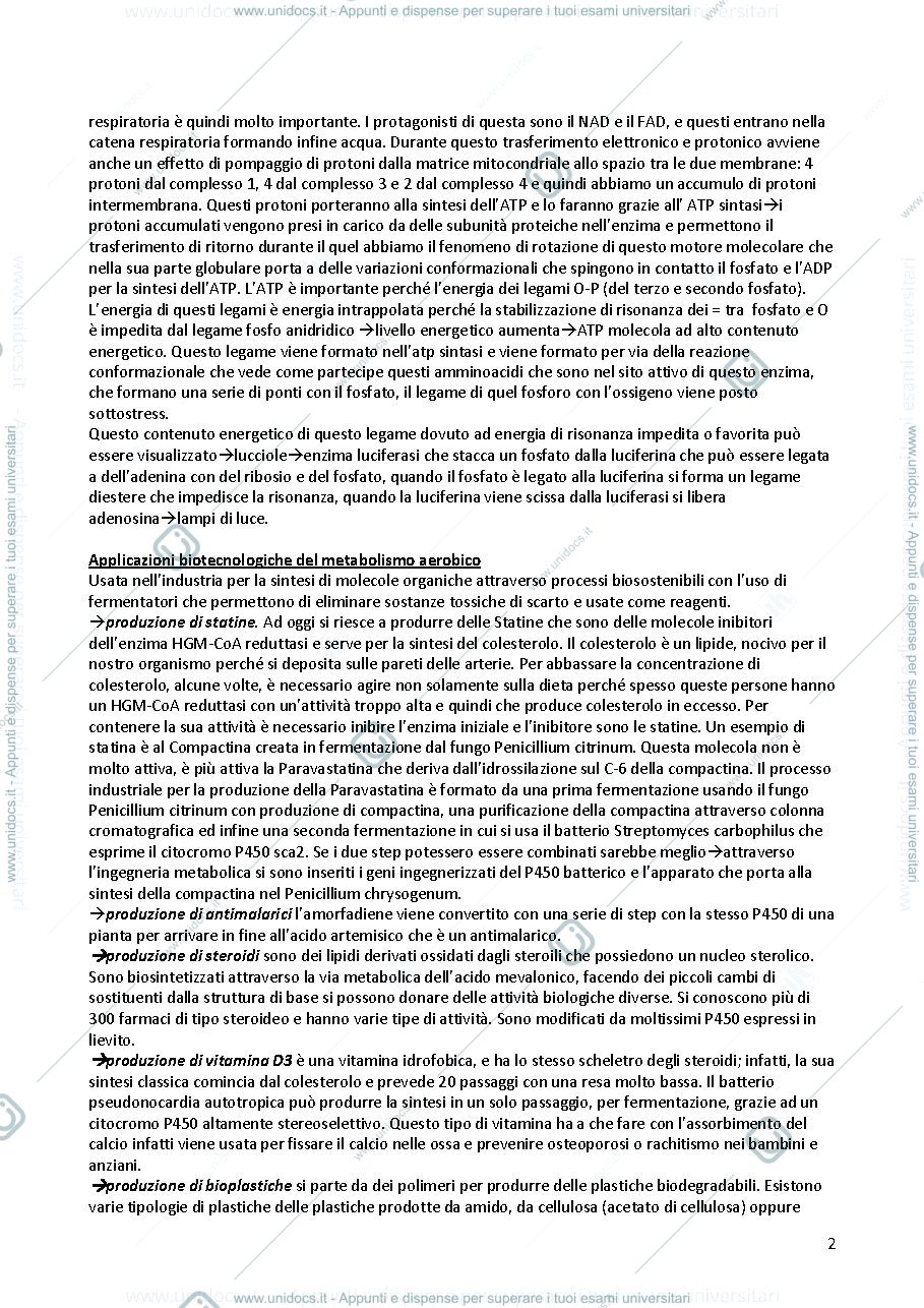 Anteprima pagina 2 — biochimica 2 