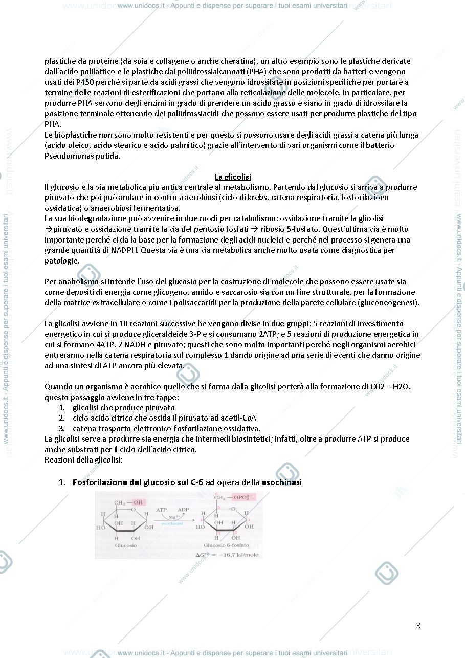 Anteprima pagina 3 — biochimica 2 