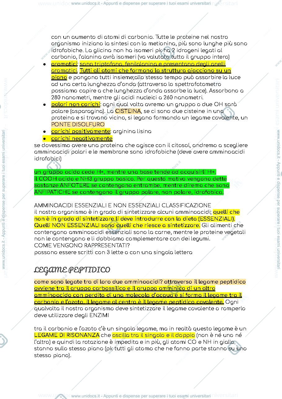 Anteprima pagina 2 — LE MACROMOLECOLE BIOLOGICHE