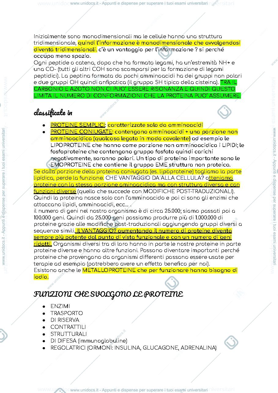 Anteprima pagina 3 — LE MACROMOLECOLE BIOLOGICHE