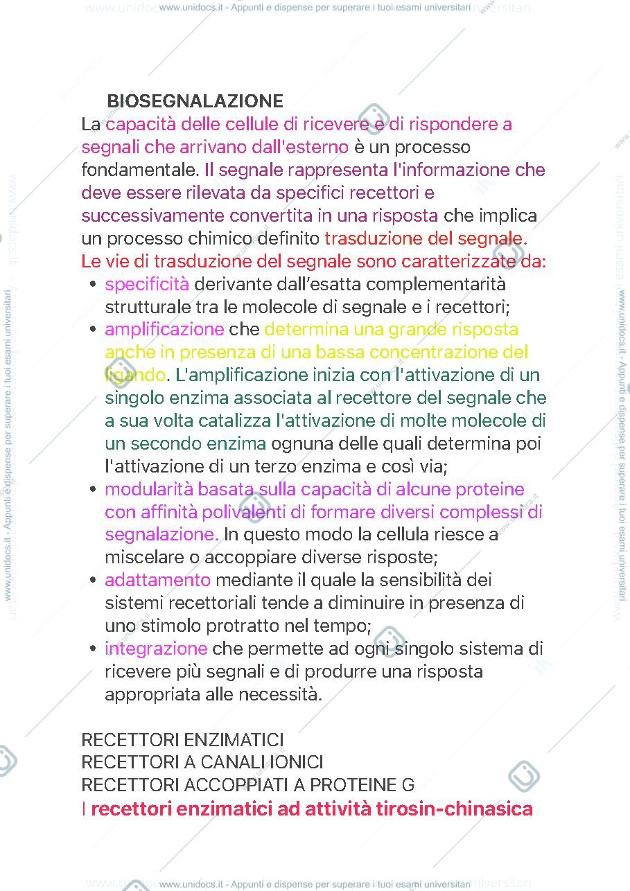 Anteprima pagina 1 — Biosegnalazione 