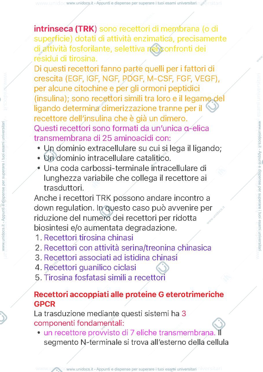 Anteprima pagina 2 — Biosegnalazione 