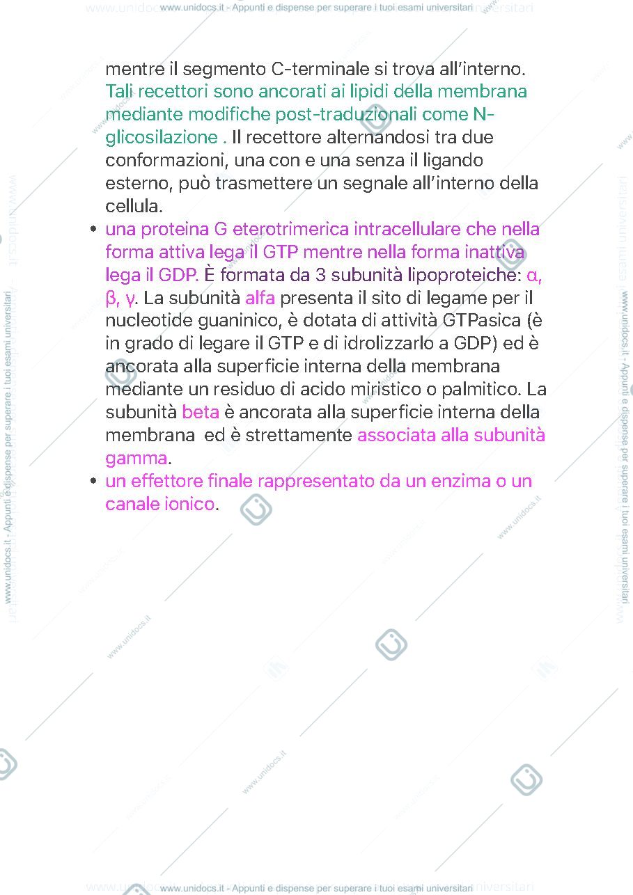 Anteprima pagina 3 — Biosegnalazione 
