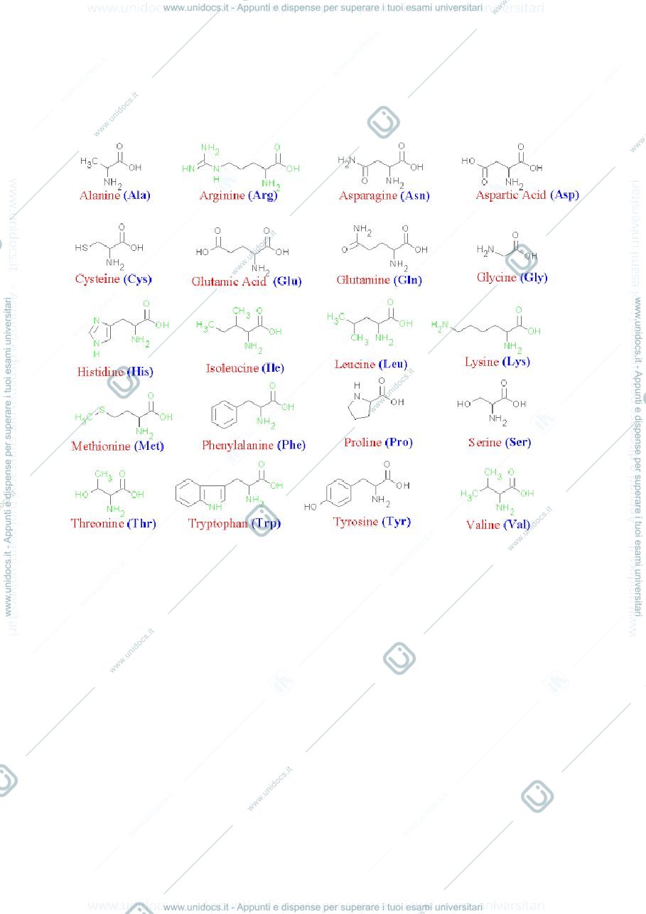 Anteprima pagina 1 — riasunto biochimica 1