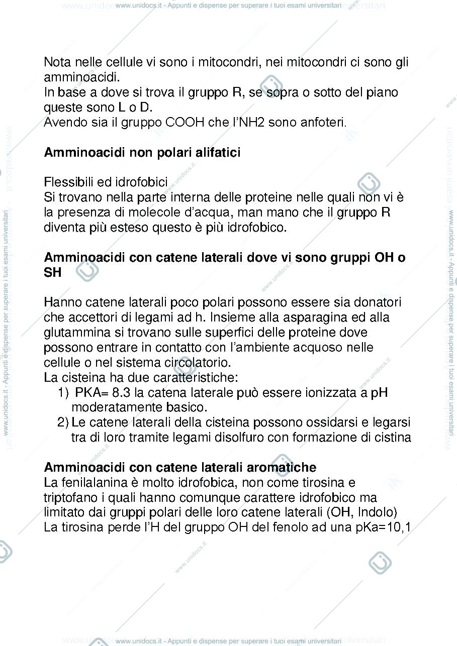 Anteprima pagina 2 — riasunto biochimica 1