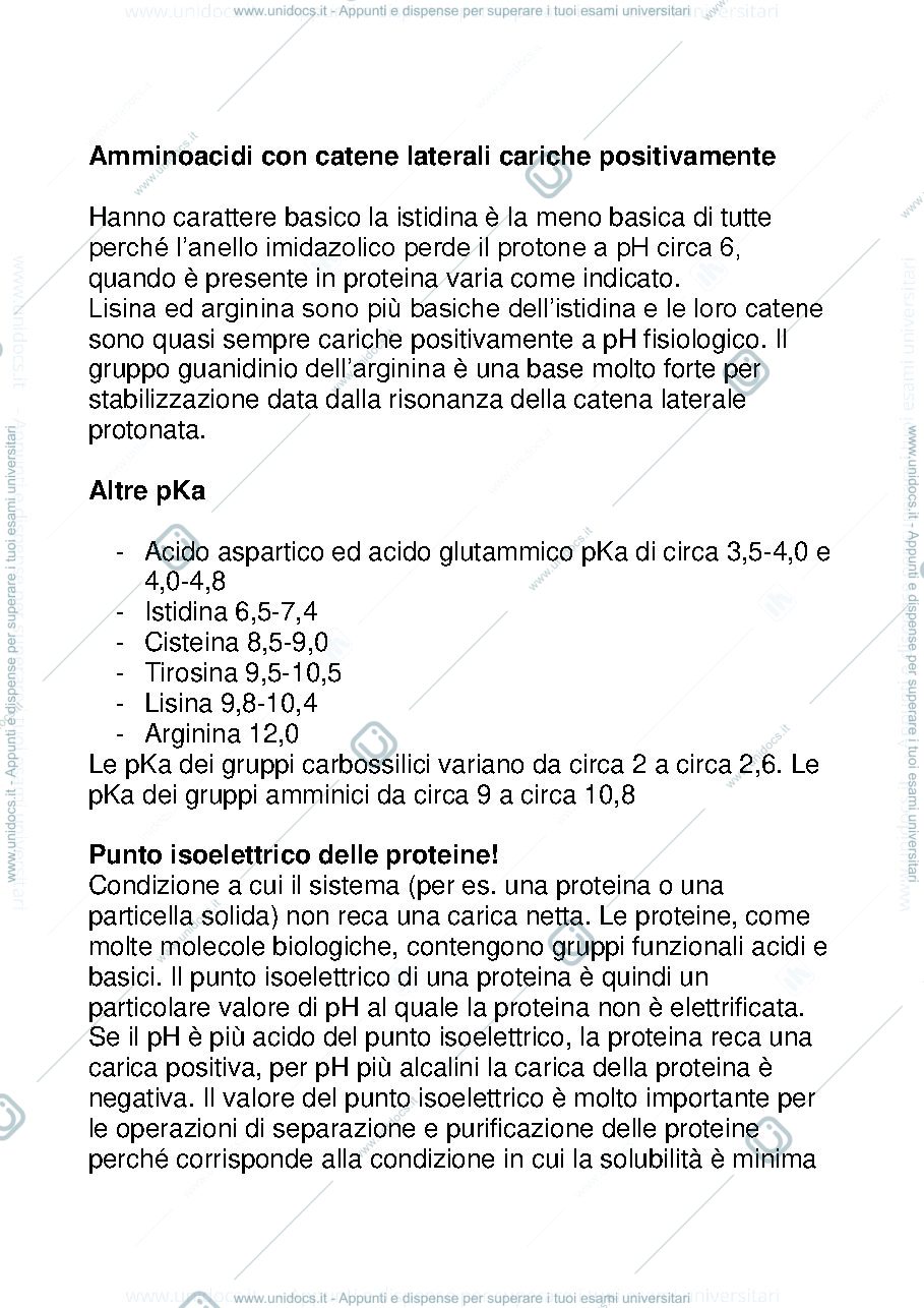 Anteprima pagina 3 — riasunto biochimica 1
